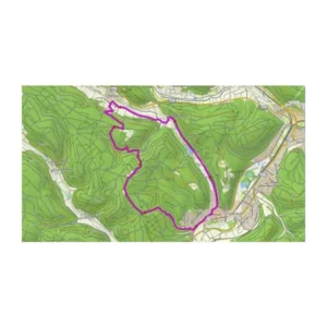 TOPO Deutschland v9 PRO